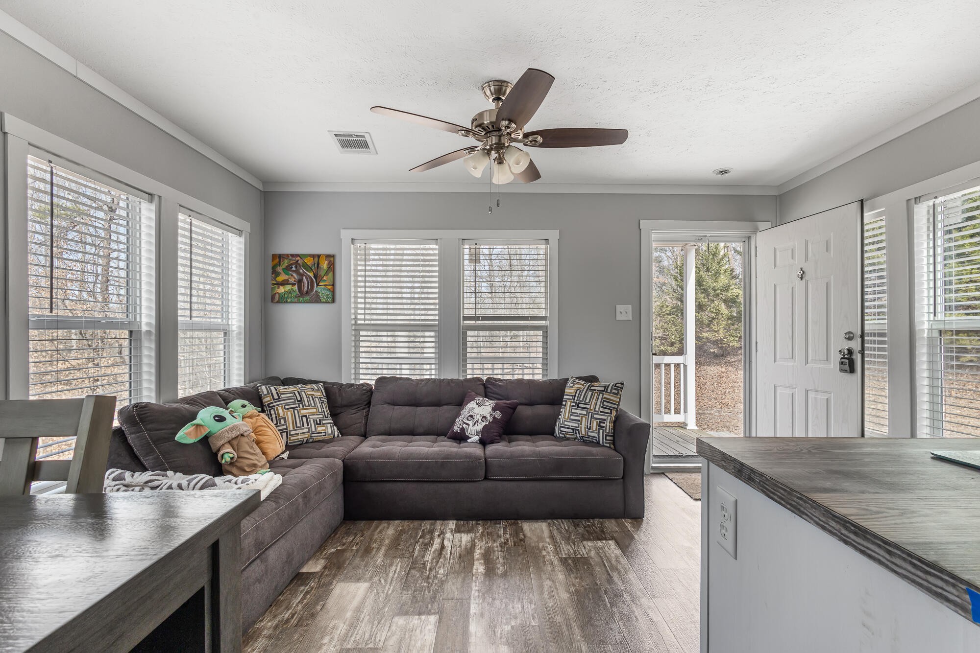 438 County Road 188 Decatur, TN 37322 - Photo 3 of 28