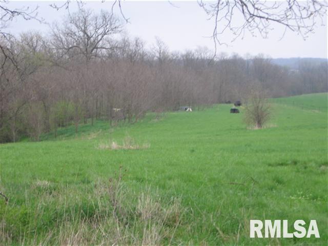 0 Rr 1 La Prairie Macomb, IL 61455 - Photo 8 of 8 Gallery Image 8
