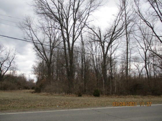 1725 East Bertrand Road Niles, MI 49120 - Photo 1 of 3 1725EBertrand