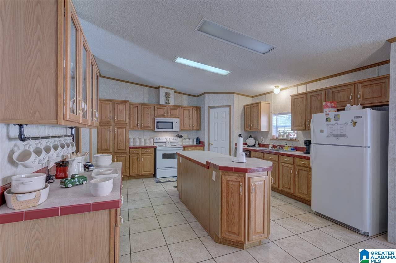 4395 Sand Valley Road Remlap, AL 35133 - Photo 5 of 24