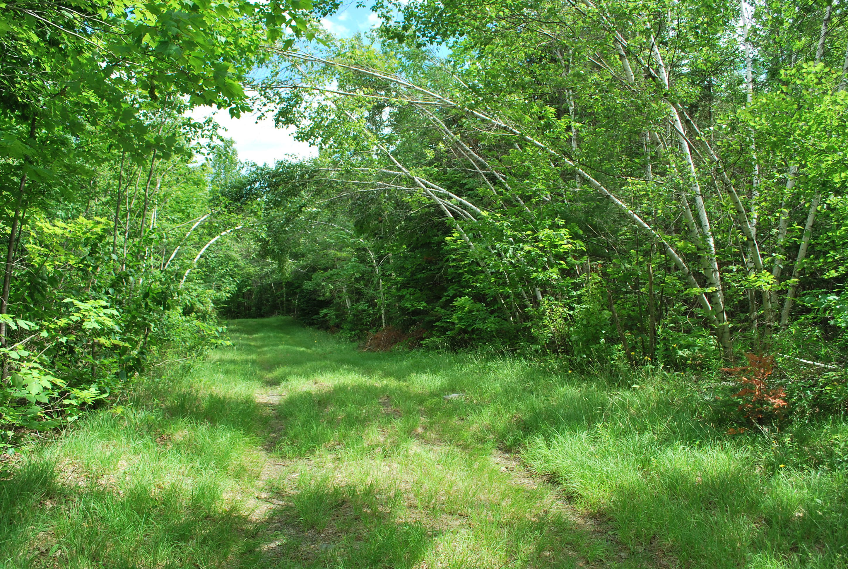 0 Wellington Road Parkman, ME 04443 - Photo 3 of 11 Peasely Wellington Road Pics 002