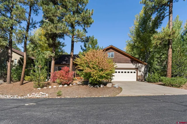 a view of a backyard with plants and large trees
