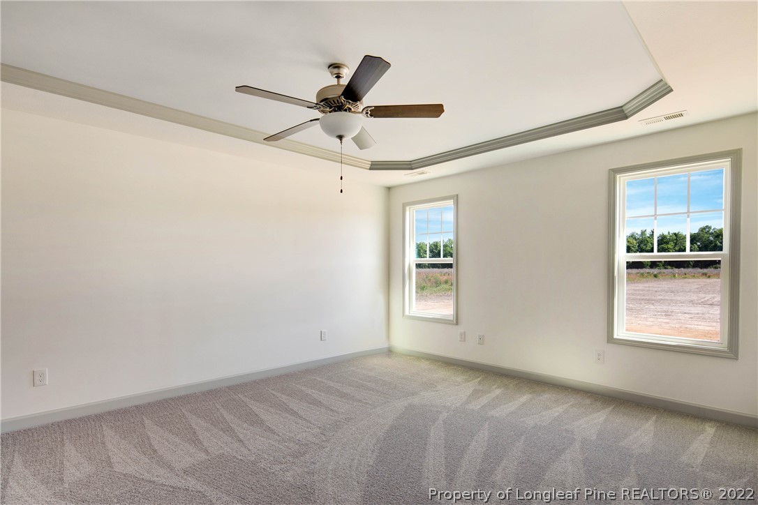 120 Canady (lot 9) Road Parkton, NC 28371 - Photo 18 of 30 Gallery Image 18