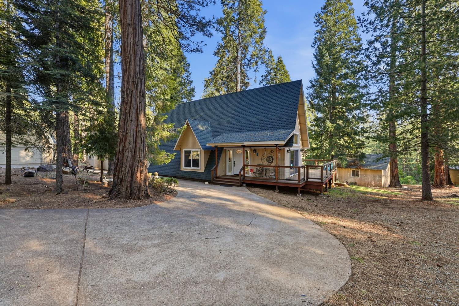 26476 Spring Road Pioneer, CA 95666 - Photo 3 of 97