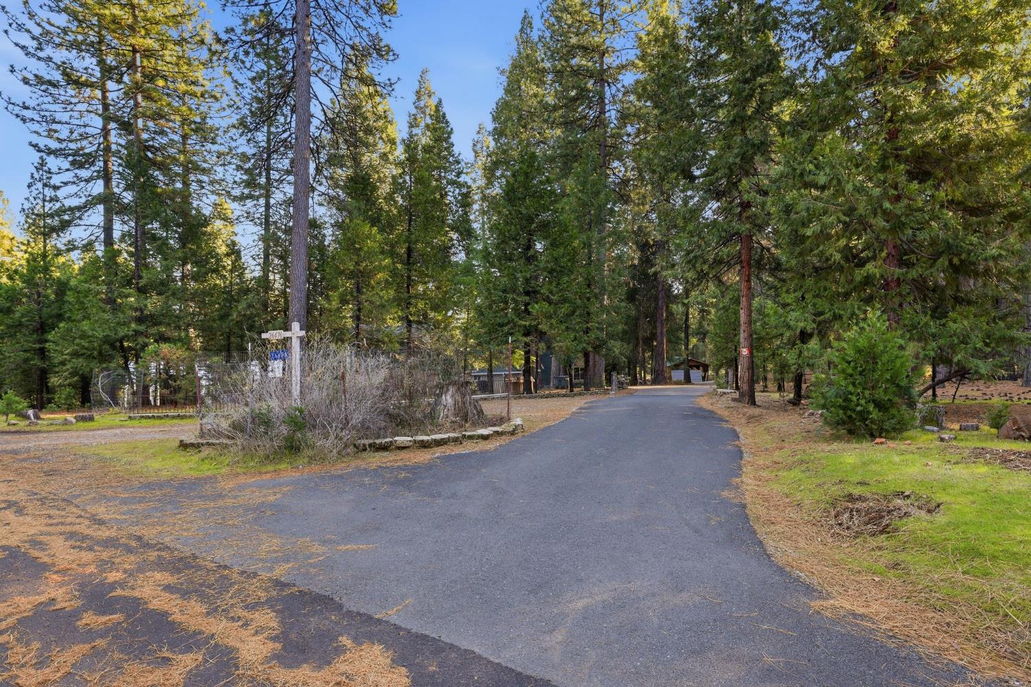 26476 Spring Road Pioneer, CA 95666 - Photo 51 of 97