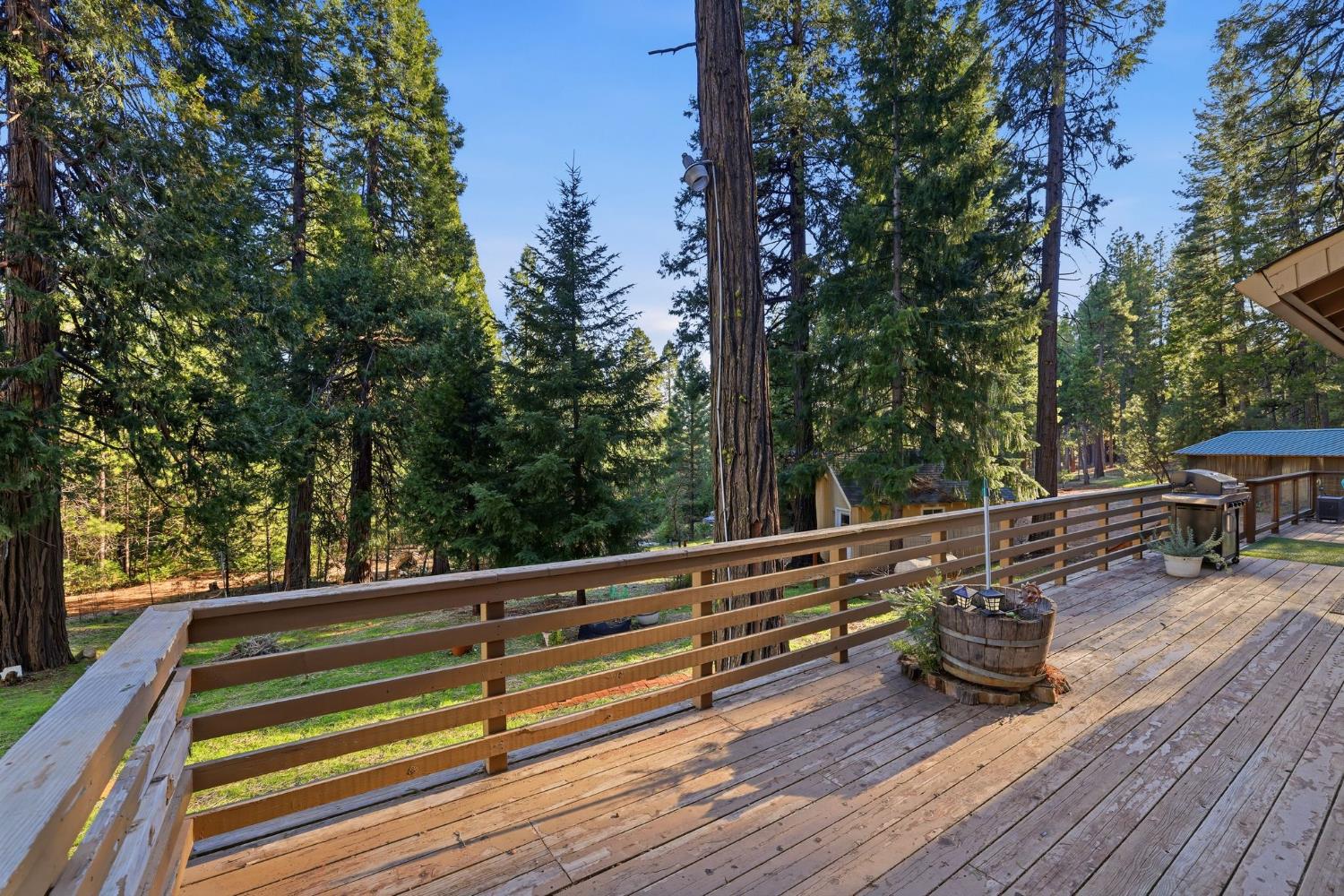 26476 Spring Road Pioneer, CA 95666 - Photo 63 of 97