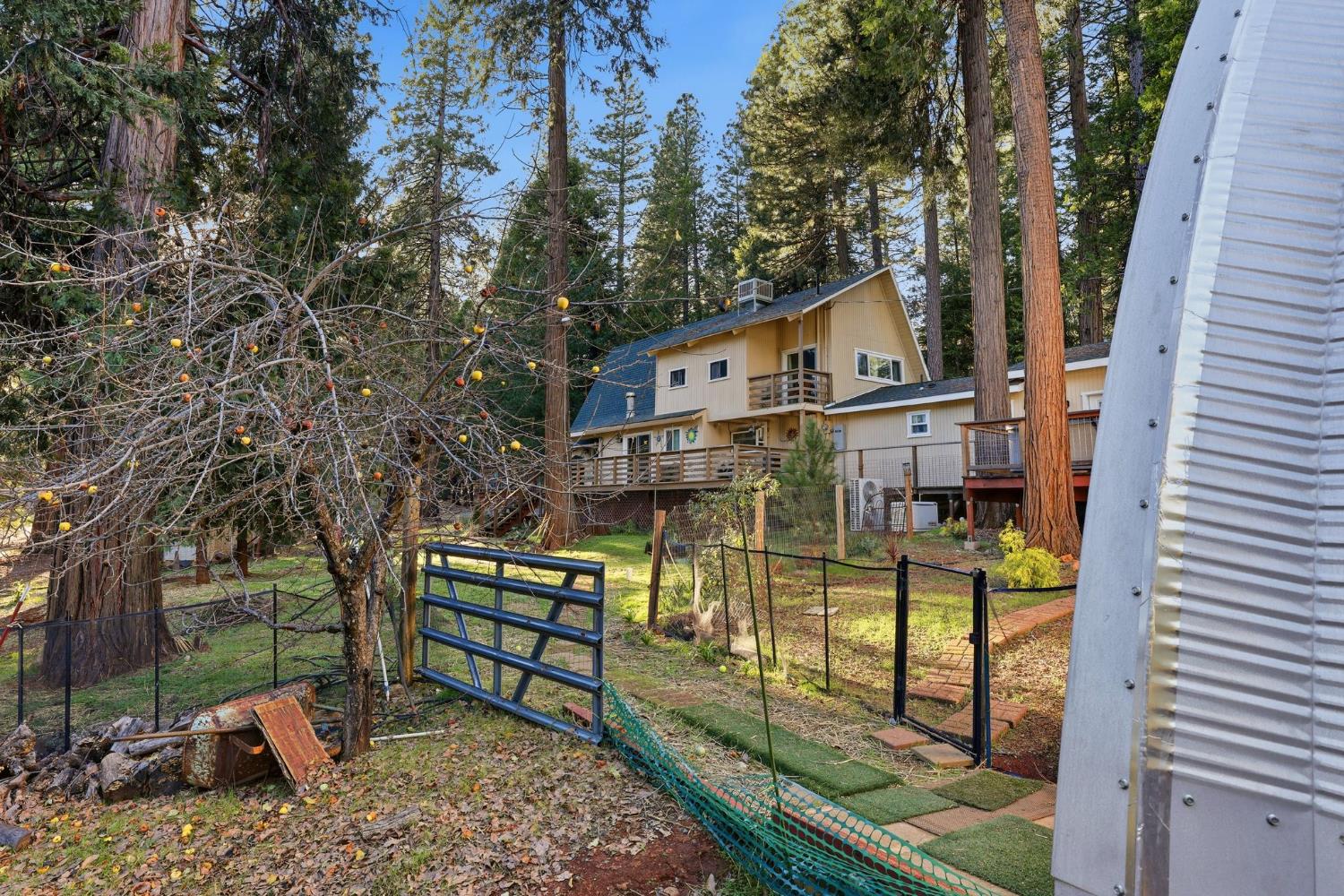 26476 Spring Road Pioneer, CA 95666 - Photo 66 of 97