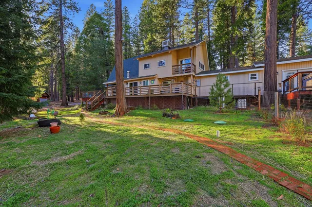 a view of a tree in a garden