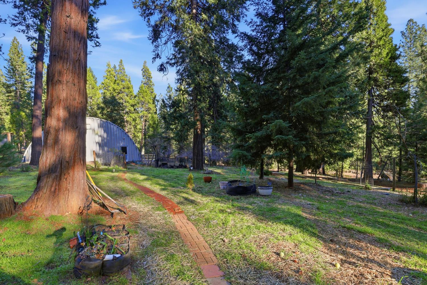 26476 Spring Road Pioneer, CA 95666 - Photo 73 of 97