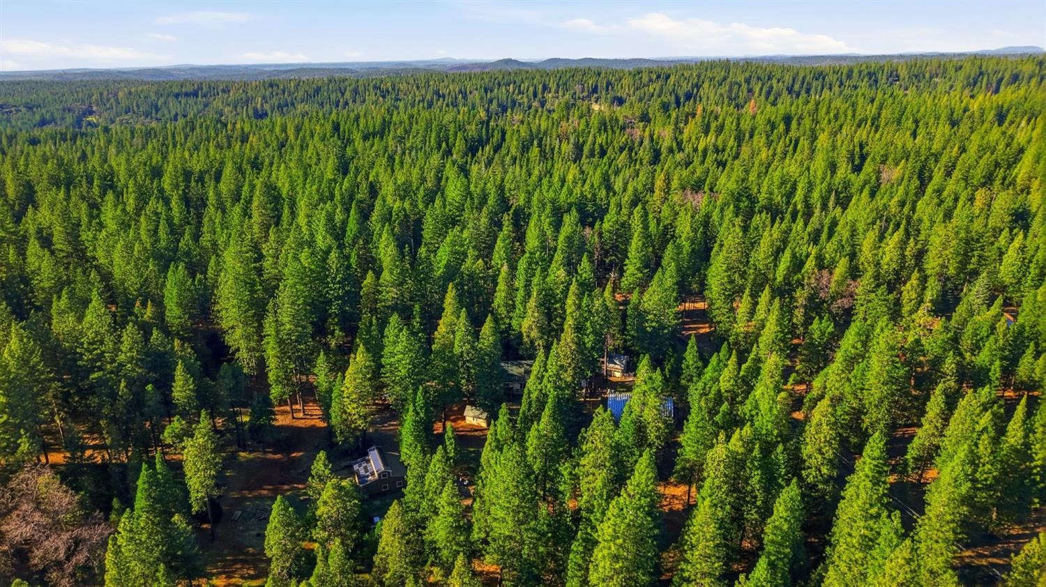 26476 Spring Road Pioneer, CA 95666 - Photo 95 of 97