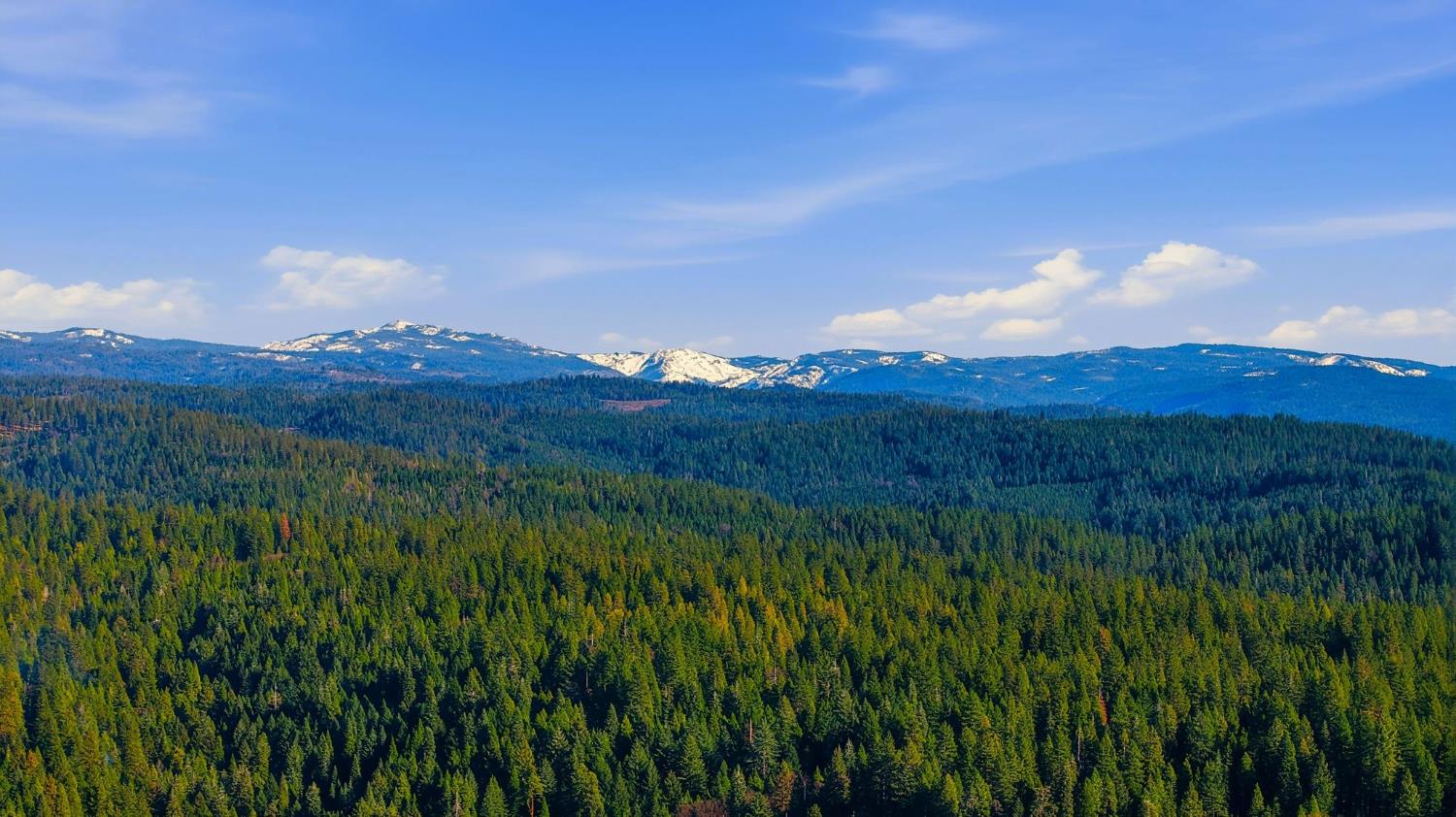 26476 Spring Road Pioneer, CA 95666 - Photo 97 of 97