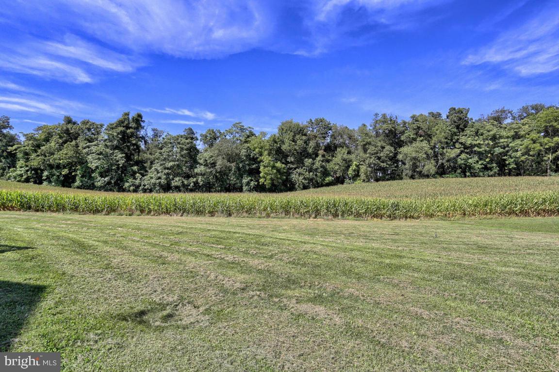 88 Scotland Road Quarryville, PA 17566 - Photo 15 of 31