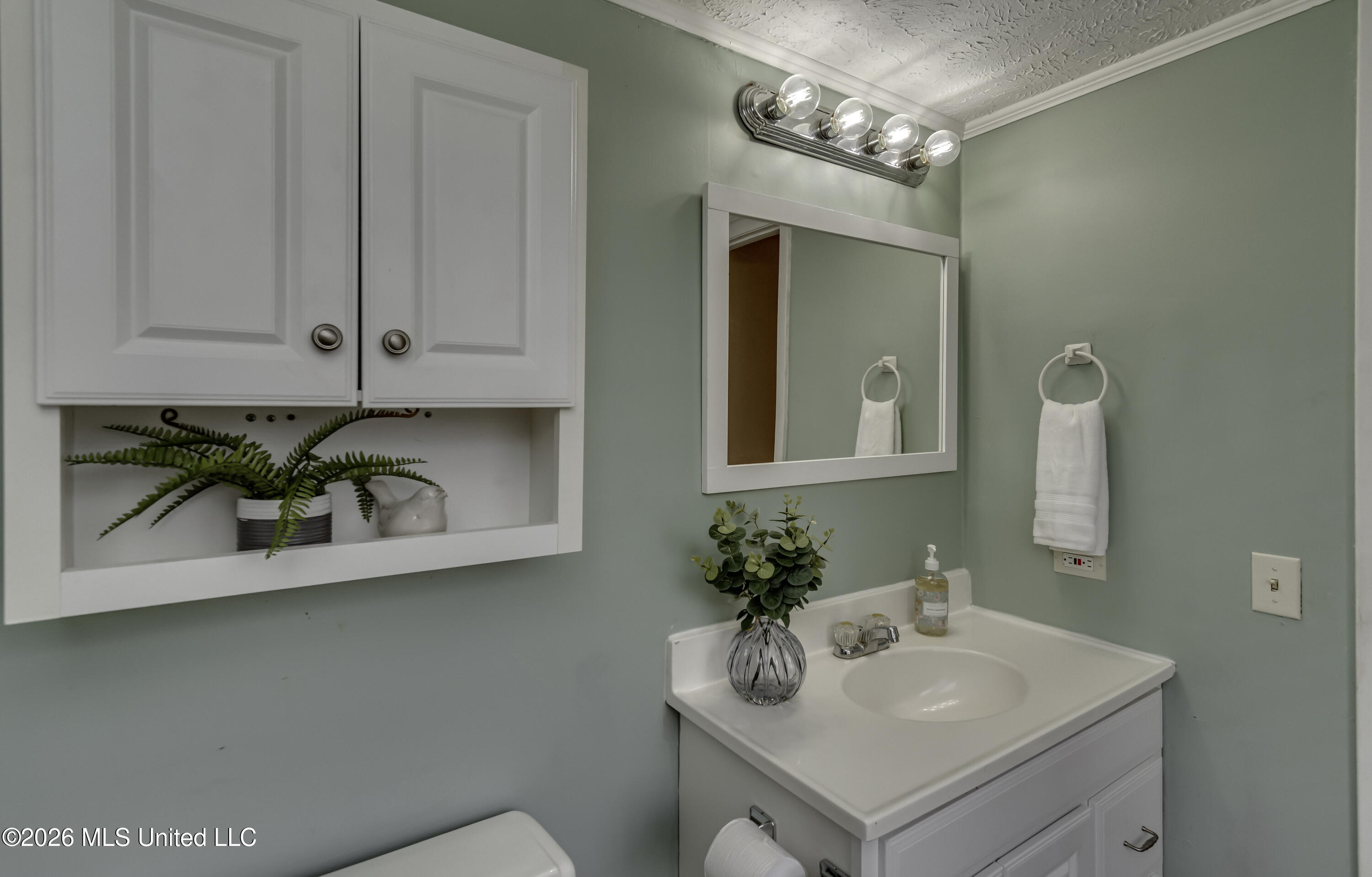 423 Lakebend Place Brandon, MS 39042 - Photo 29 of 55 423 Lake Bend Pl--45