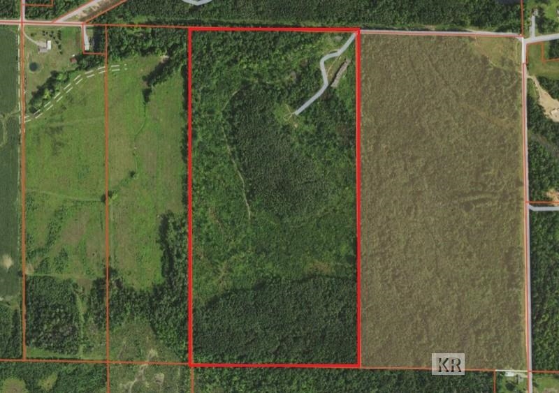 80-acres Wieman Road Gladwin, MI 48624 - Photo 5 of 28 Gallery Image 5