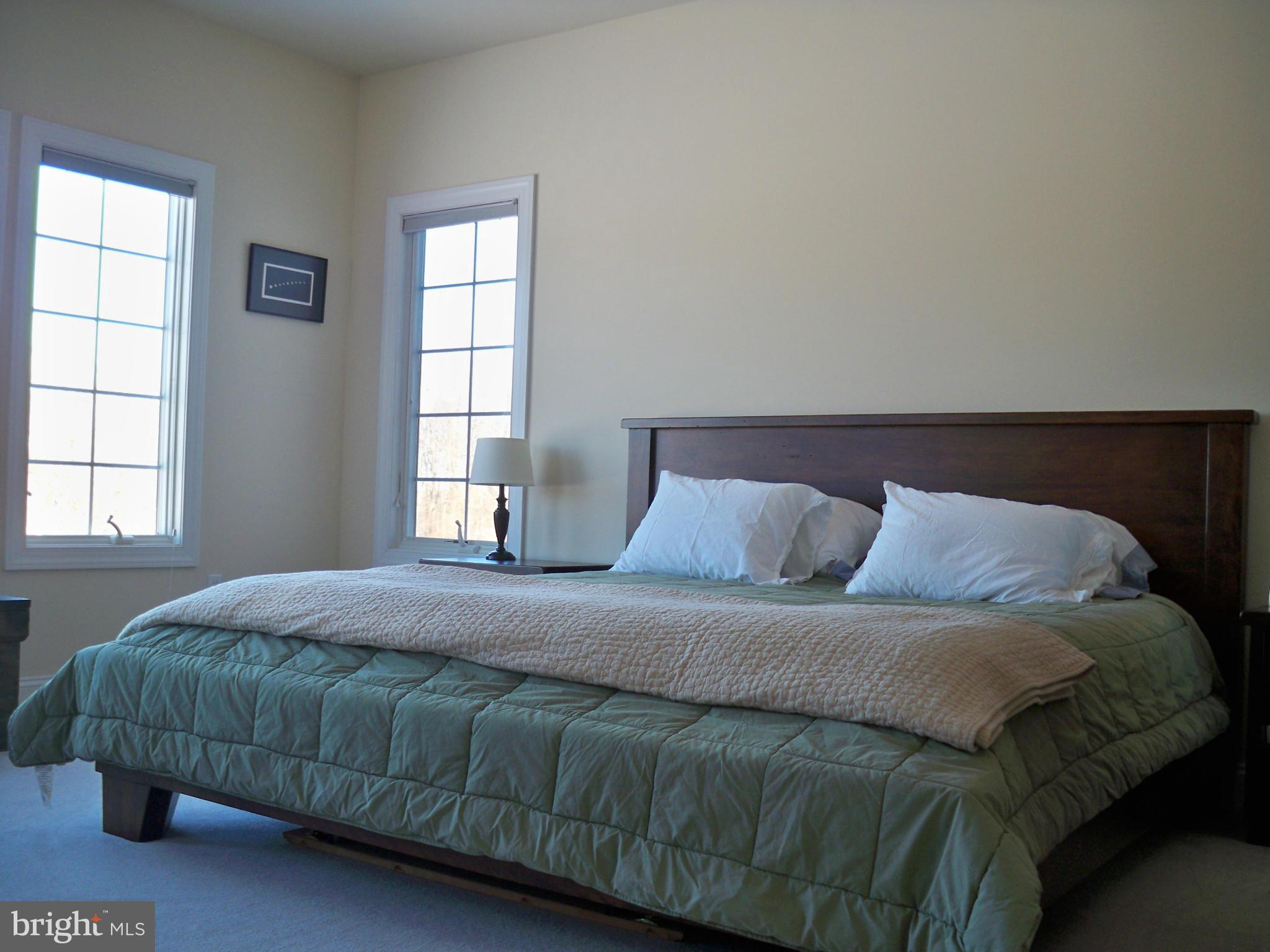 65 Morgan Creek Road Earleville, MD 21919 - Photo 11 of 25 Interior (General)