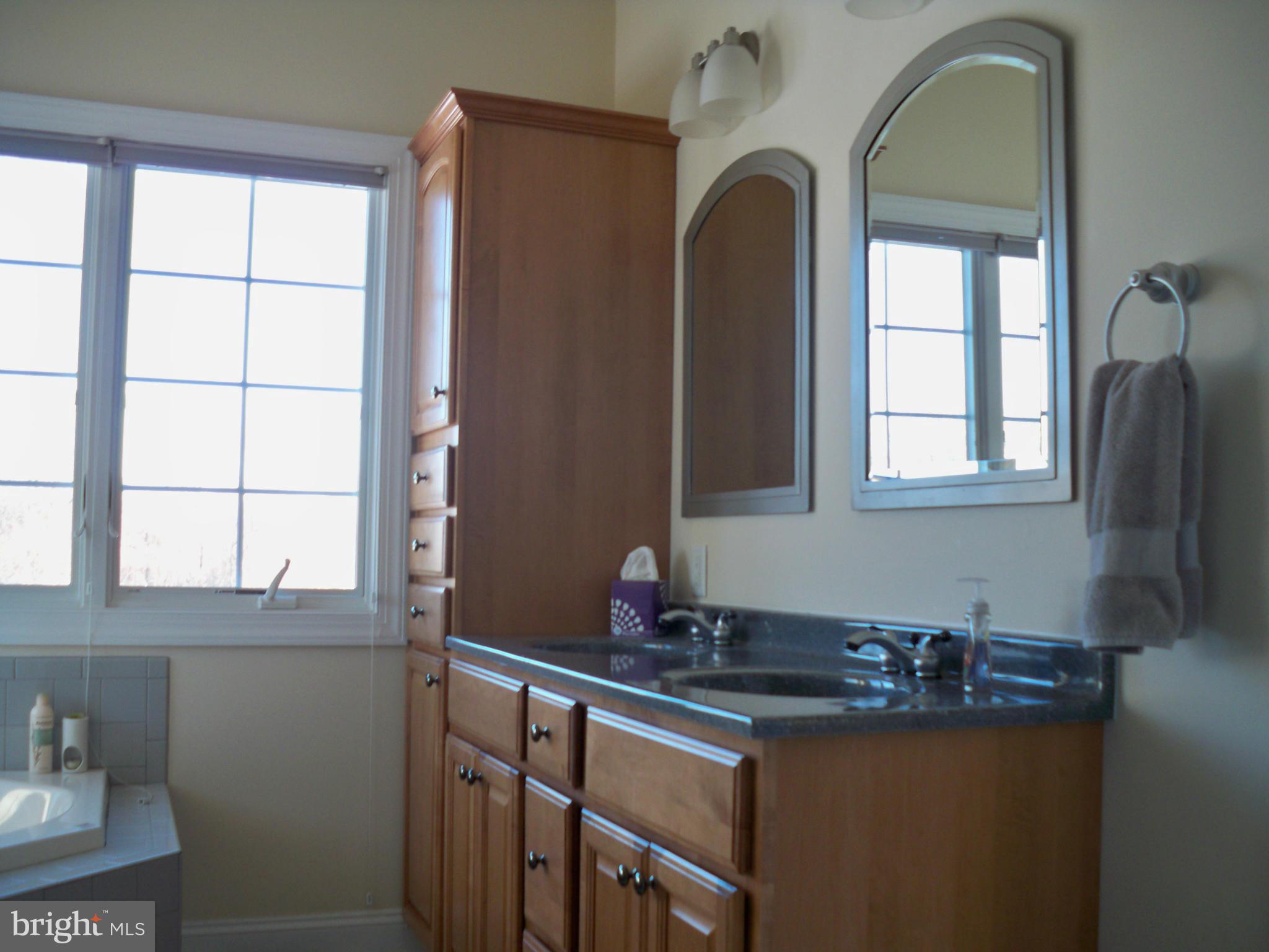 65 Morgan Creek Road Earleville, MD 21919 - Photo 12 of 25 Interior (General)