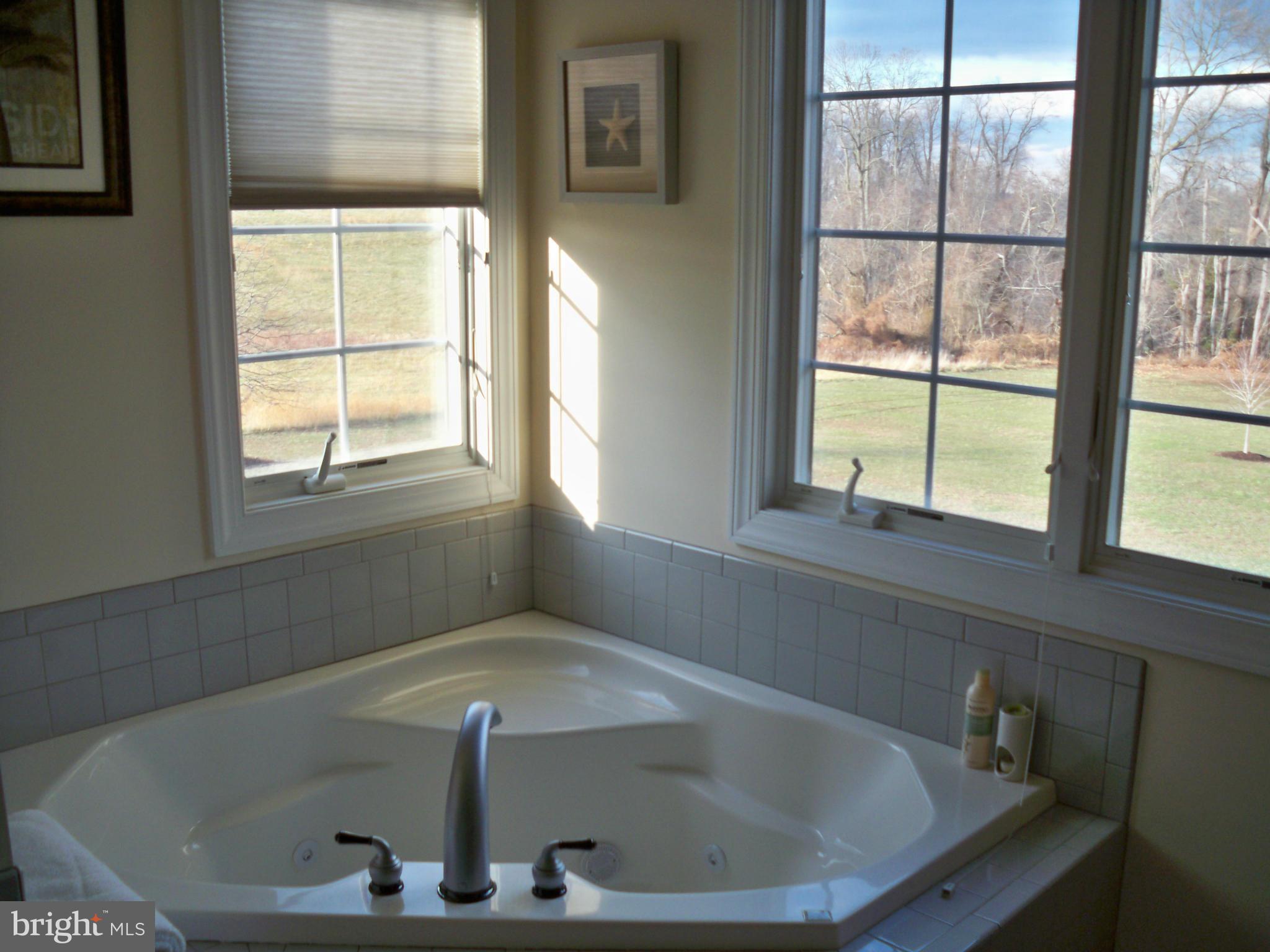 65 Morgan Creek Road Earleville, MD 21919 - Photo 13 of 25 Interior (General)