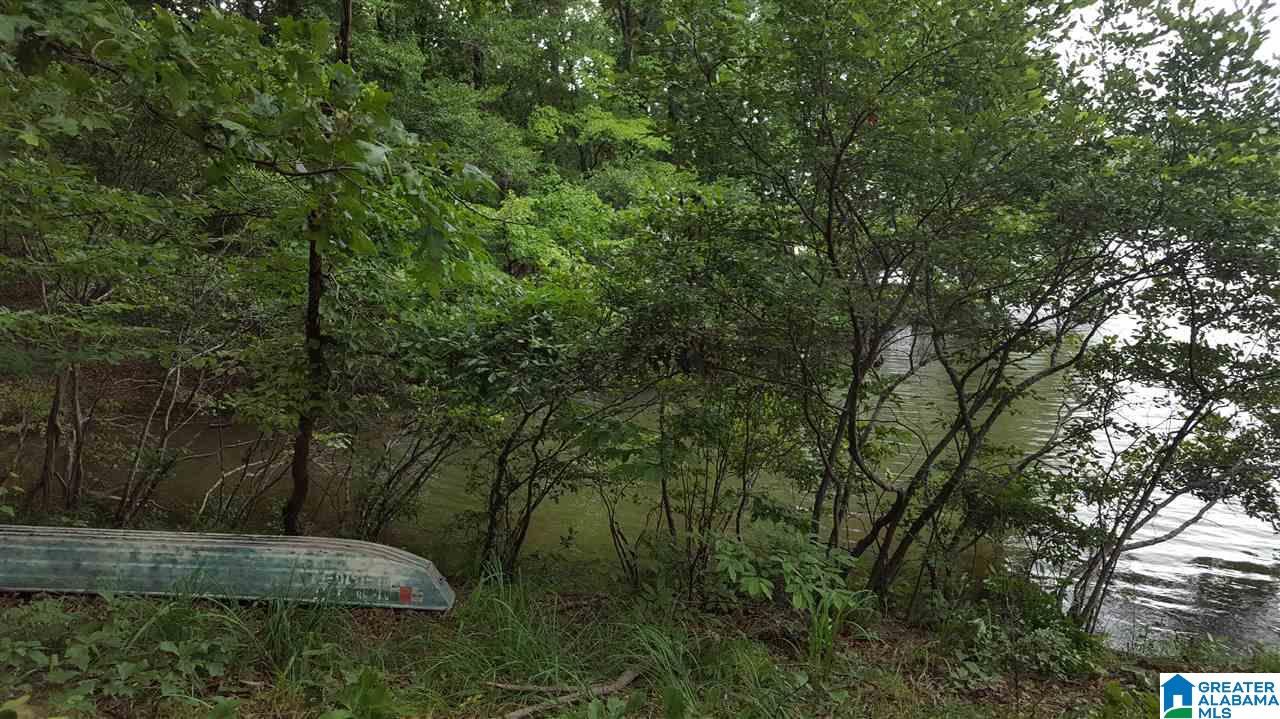 11-acres Deer Run Road, Unit 148330000001 010 Alabaster, AL 35007 - Photo 23 of 34