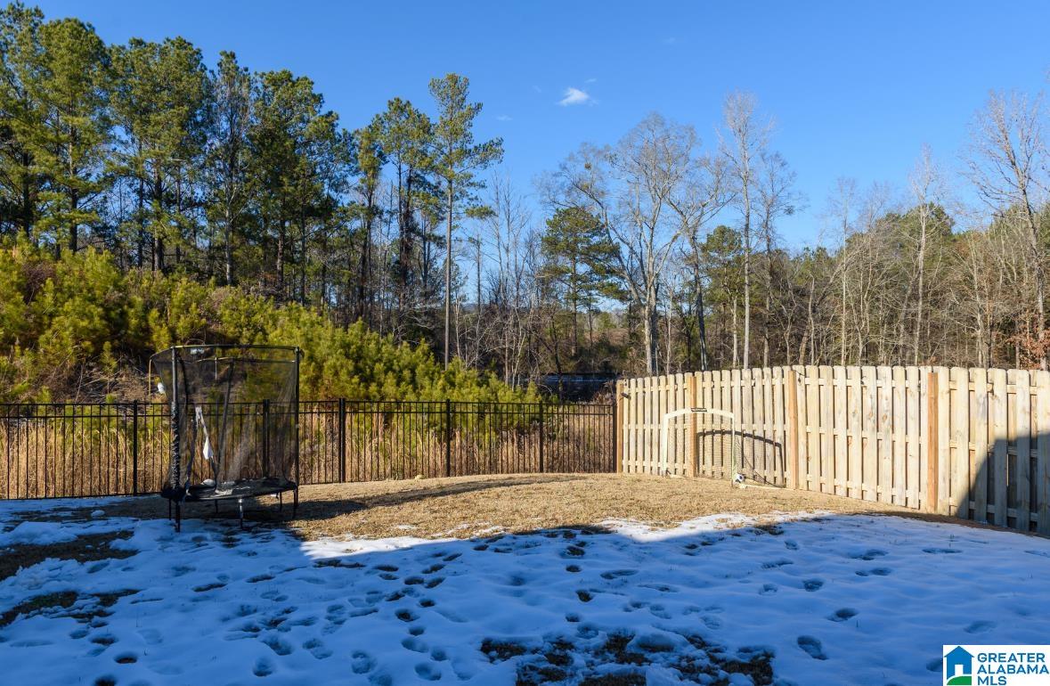 258 Chelsea Park Road Chelsea, AL 35043 - Photo 14 of 14