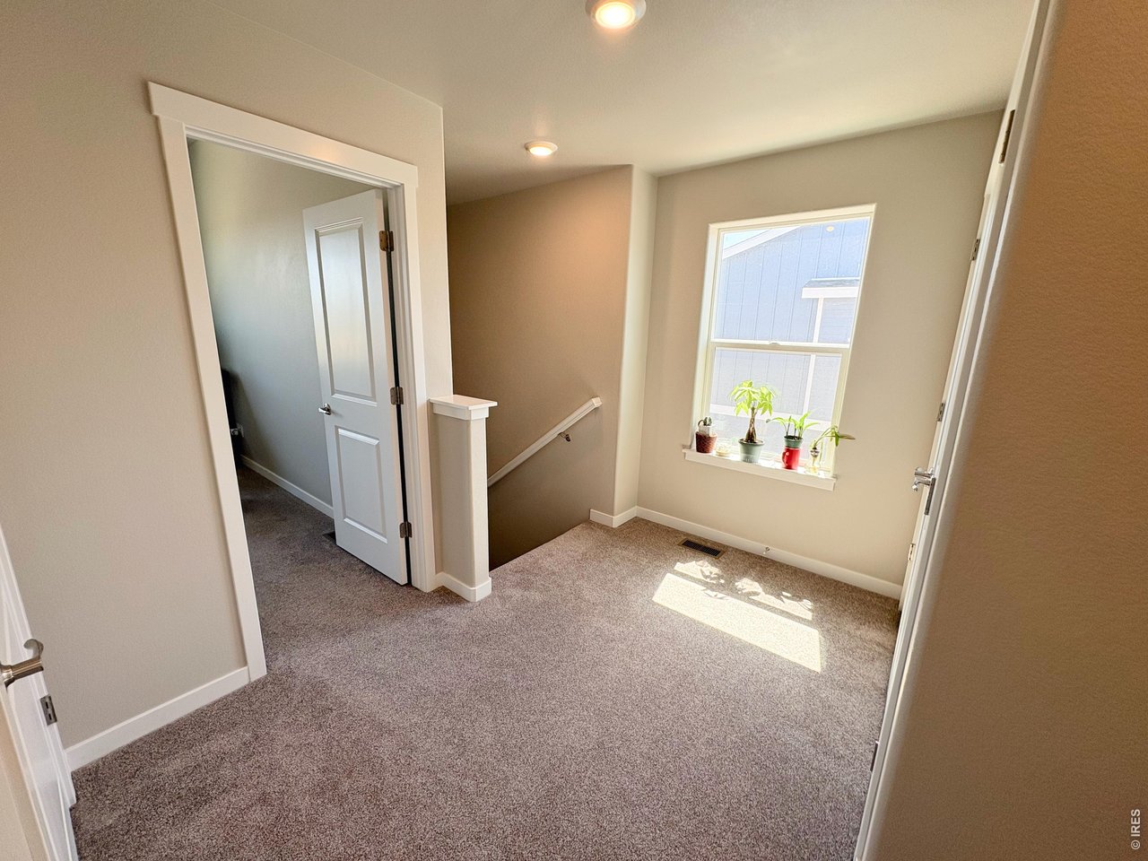 333 Pyramid Peak Street Berthoud, CO 80513 - Photo 17 of 21 an entryway with wooden floor and windows