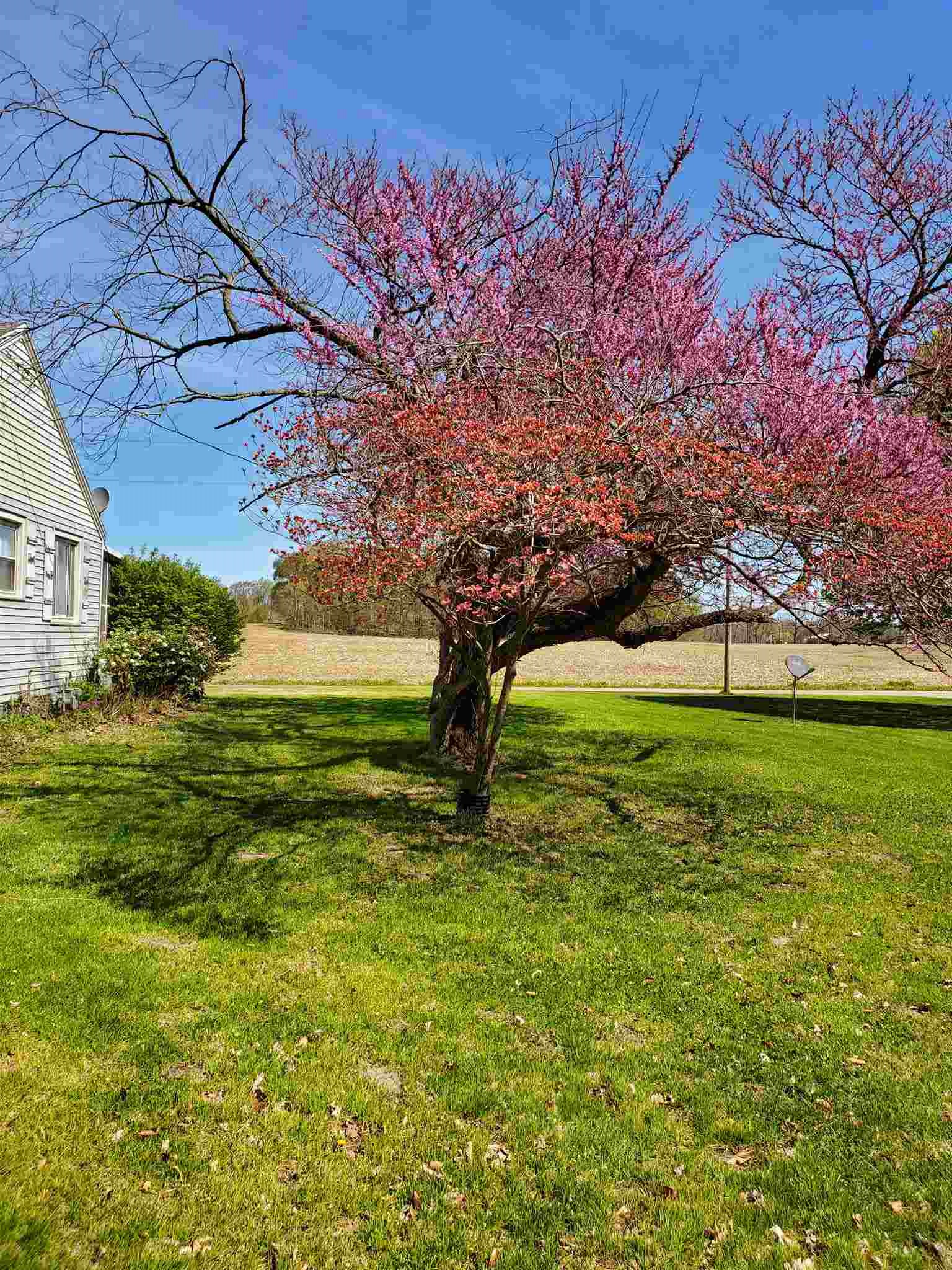 14735 4B Road Plymouth, IN 46563 - Photo 5 of 36