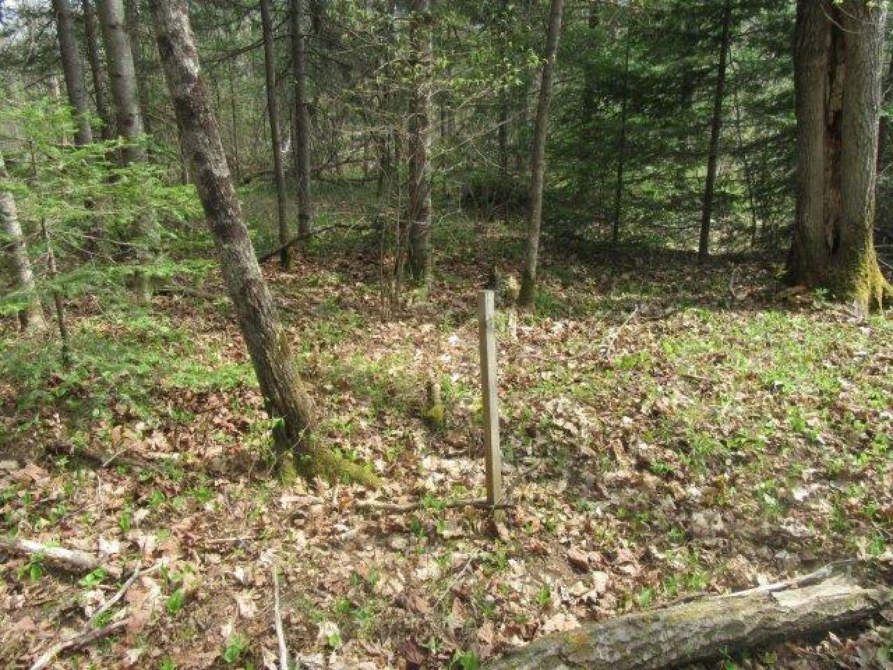On Mallard Park Road Presque Isle, WI 54557 - Photo 6 of 11 Gallery Image 6
