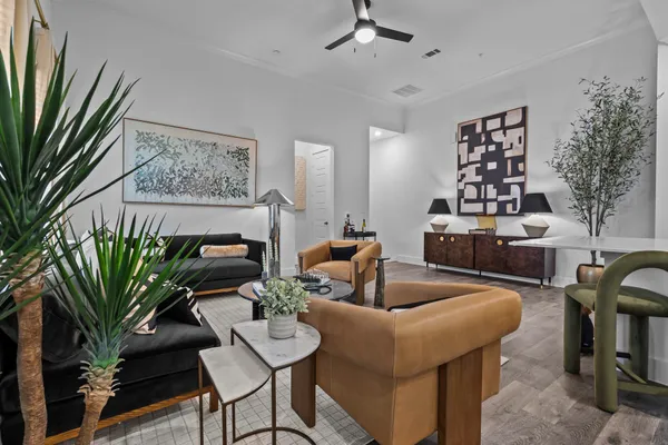 a living room with furniture and a potted plant
