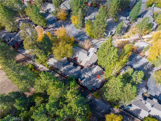a bird view of a garden