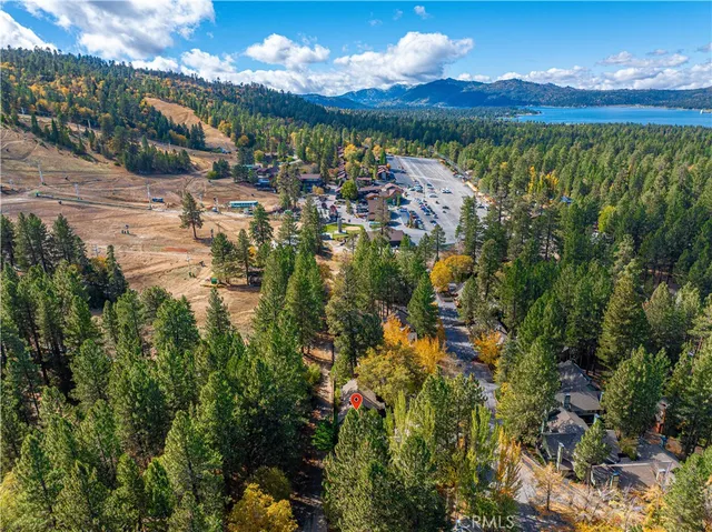 a view of a lake in middle of forest