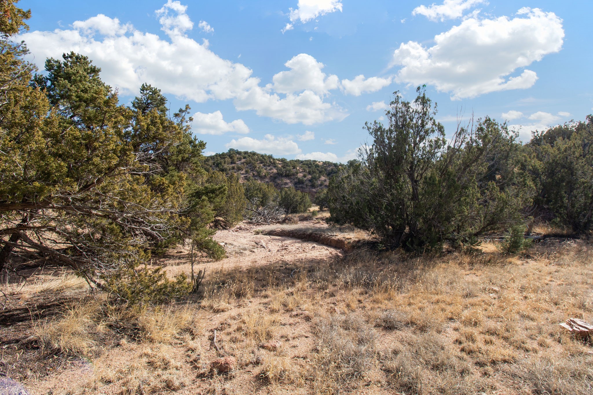 19 Del Charro Road Lamy, NM 87540 - Photo 10 of 15