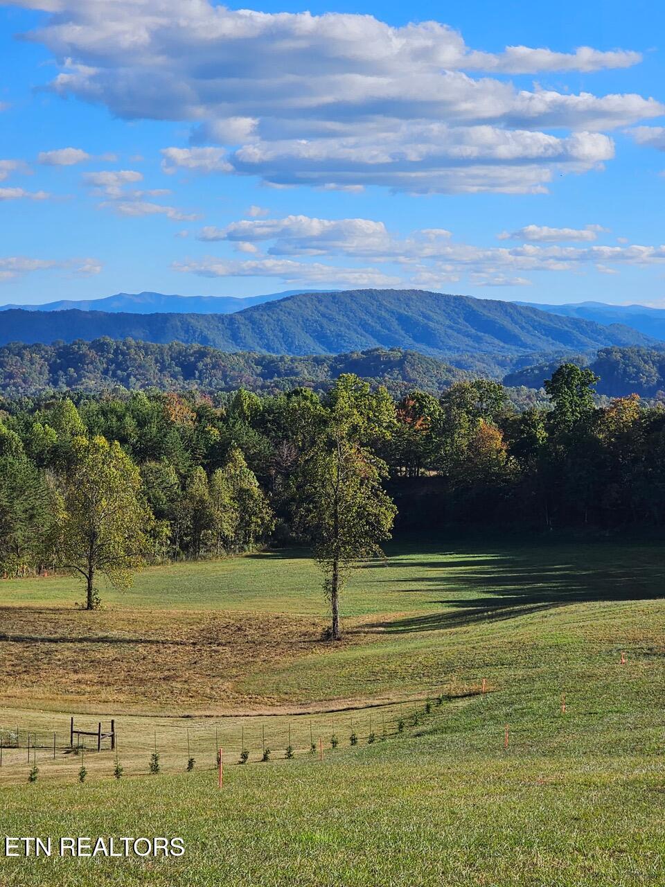 Hutton Ridge Maryville, TN 37801 - Photo 2 of 4 Pic 2