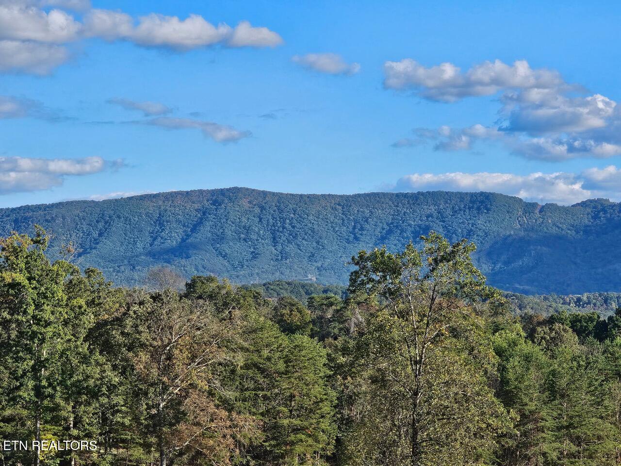 Hutton Ridge Maryville, TN 37801 - Photo 3 of 4 Pic 3