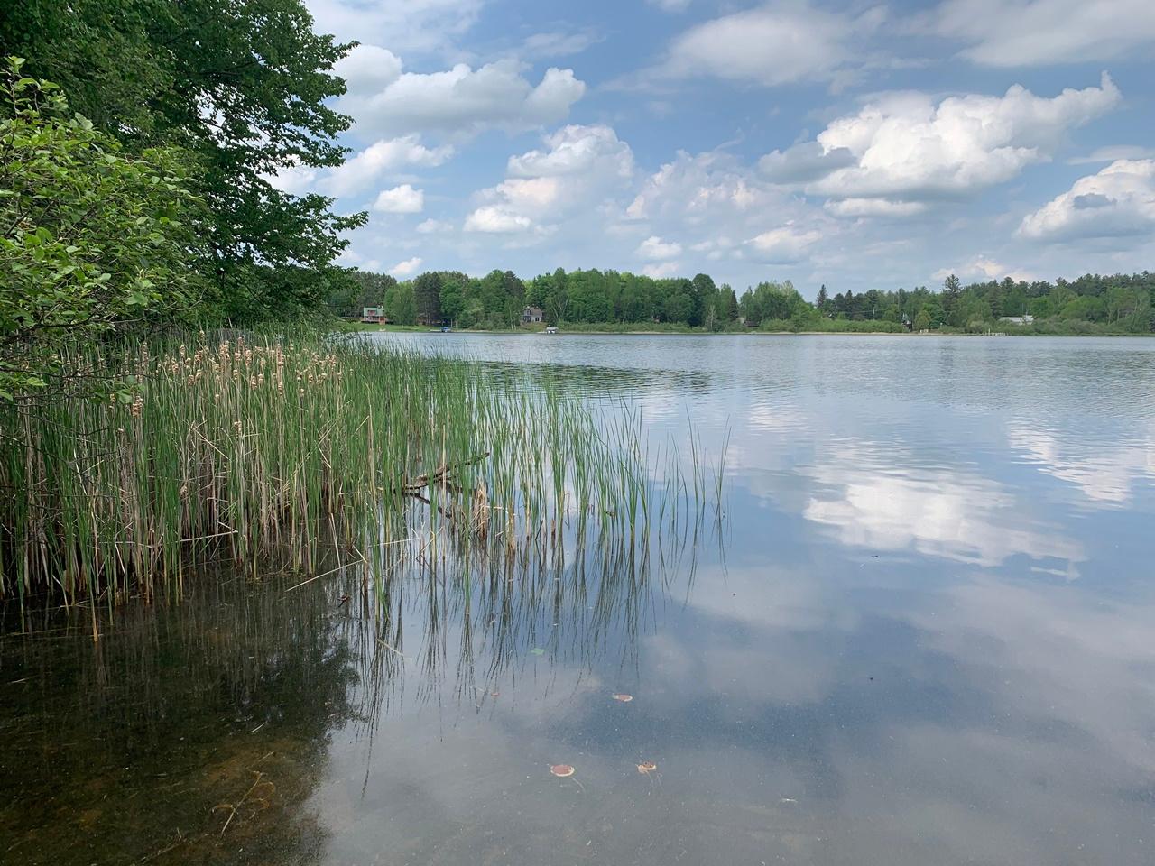 5076 Stafford Point Road North Mercer, WI 54547 - Photo 42 of 72 Gallery Image 42