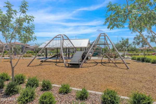 a view of a yard with a chair and palm trees