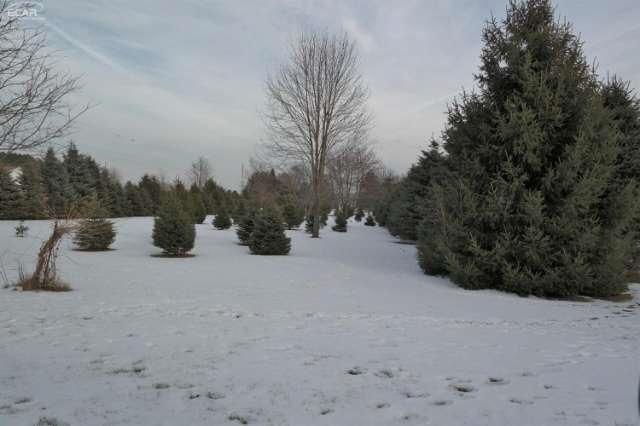 14145 North Center Road Clio, MI 48420 - Photo 62 of 66 20458297-61.JPG