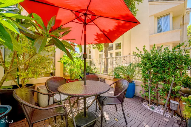 a view of a garden with plants