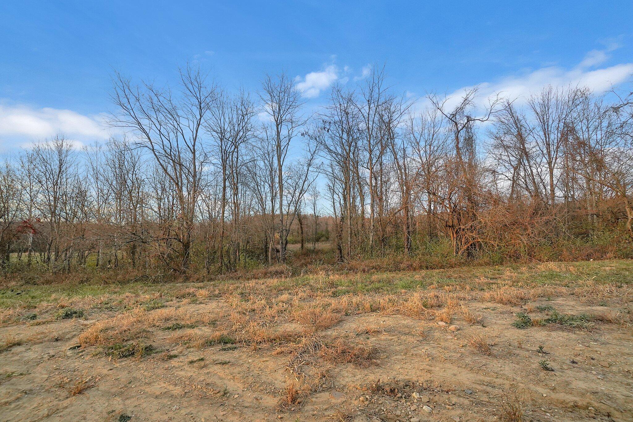 14770 South Perry Road Laurelville, OH 43135 - Photo 30 of 34 211D59F4-7AB2-4583-920E-B2BF5C02402B