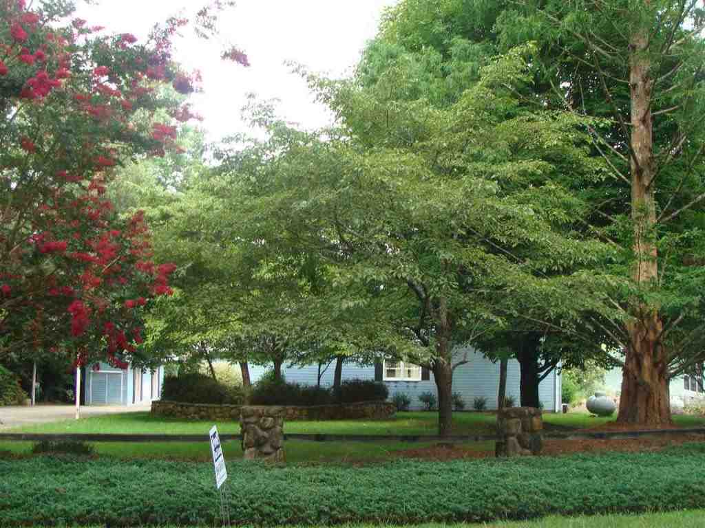 343 Jumping Branch Road Tamassee, SC 29686 - Photo 27 of 31 Gallery Image 27