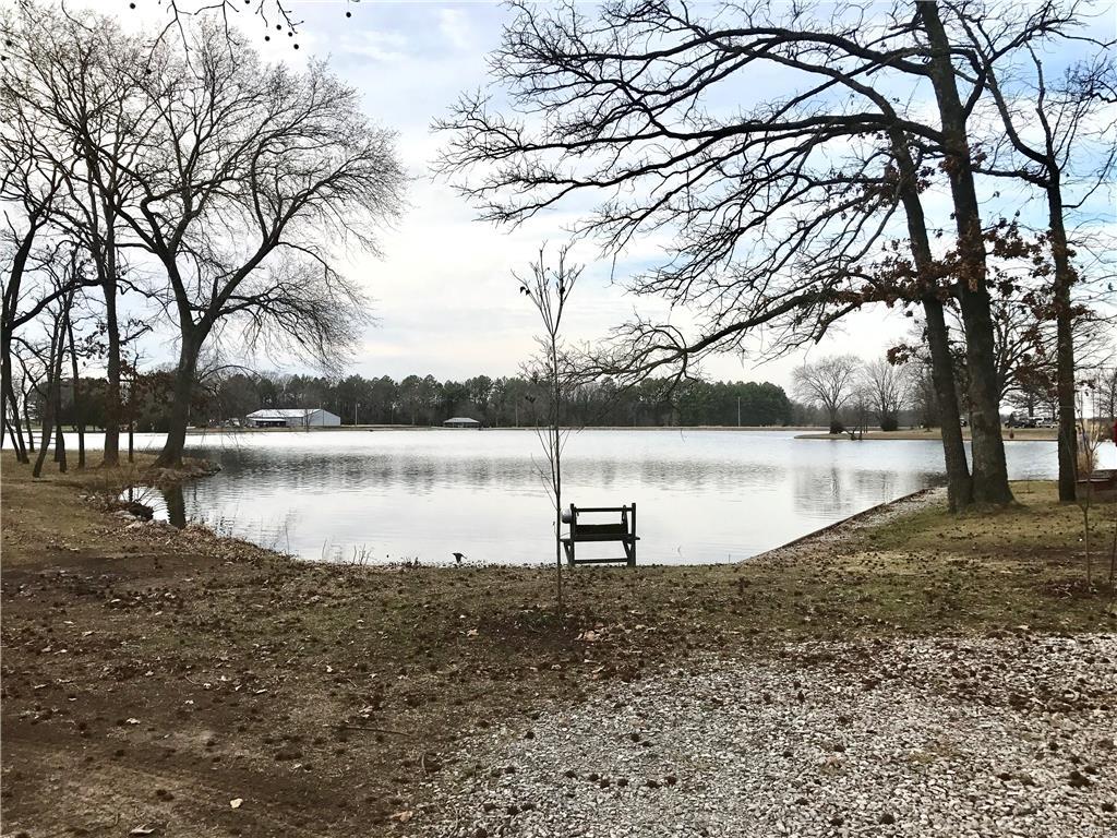 316 Recreation Area Road Marissa, IL 62257 - Photo 40 of 46