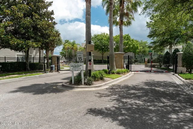 a view of a park with palm trees
