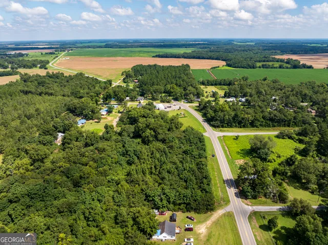 an aerial view of residential houses with outdoor space and trees