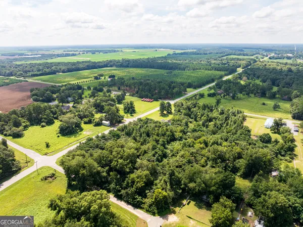 a view of a garden with a lake