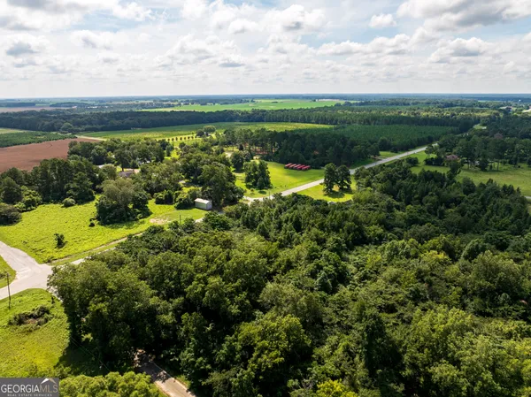 a view of a city with lush green forest