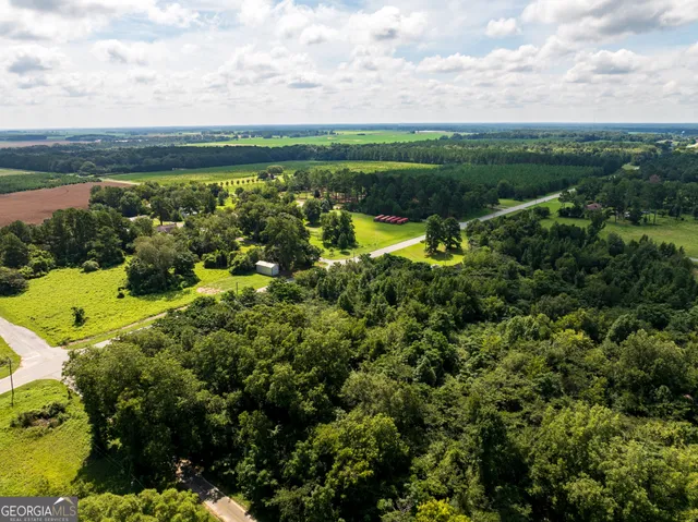 a view of a city with lush green forest
