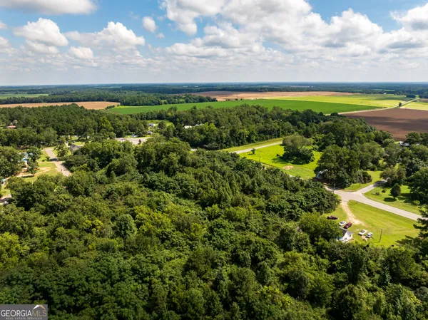a view of a city with lush green forest