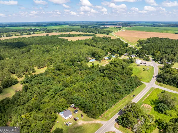 an aerial view of residential houses with outdoor space and trees
