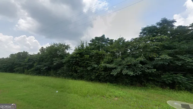 a view of a green yard