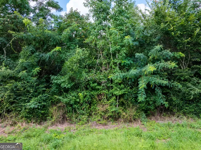 an aerial view of residential house with outdoor space and trees all around