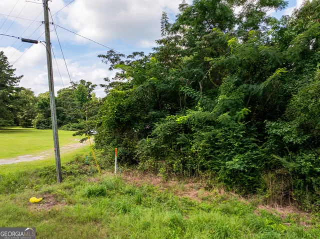 a view of a yard with a tree