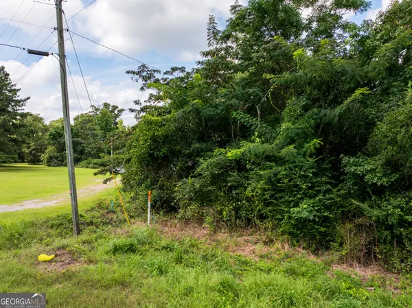 a view of a yard with a tree